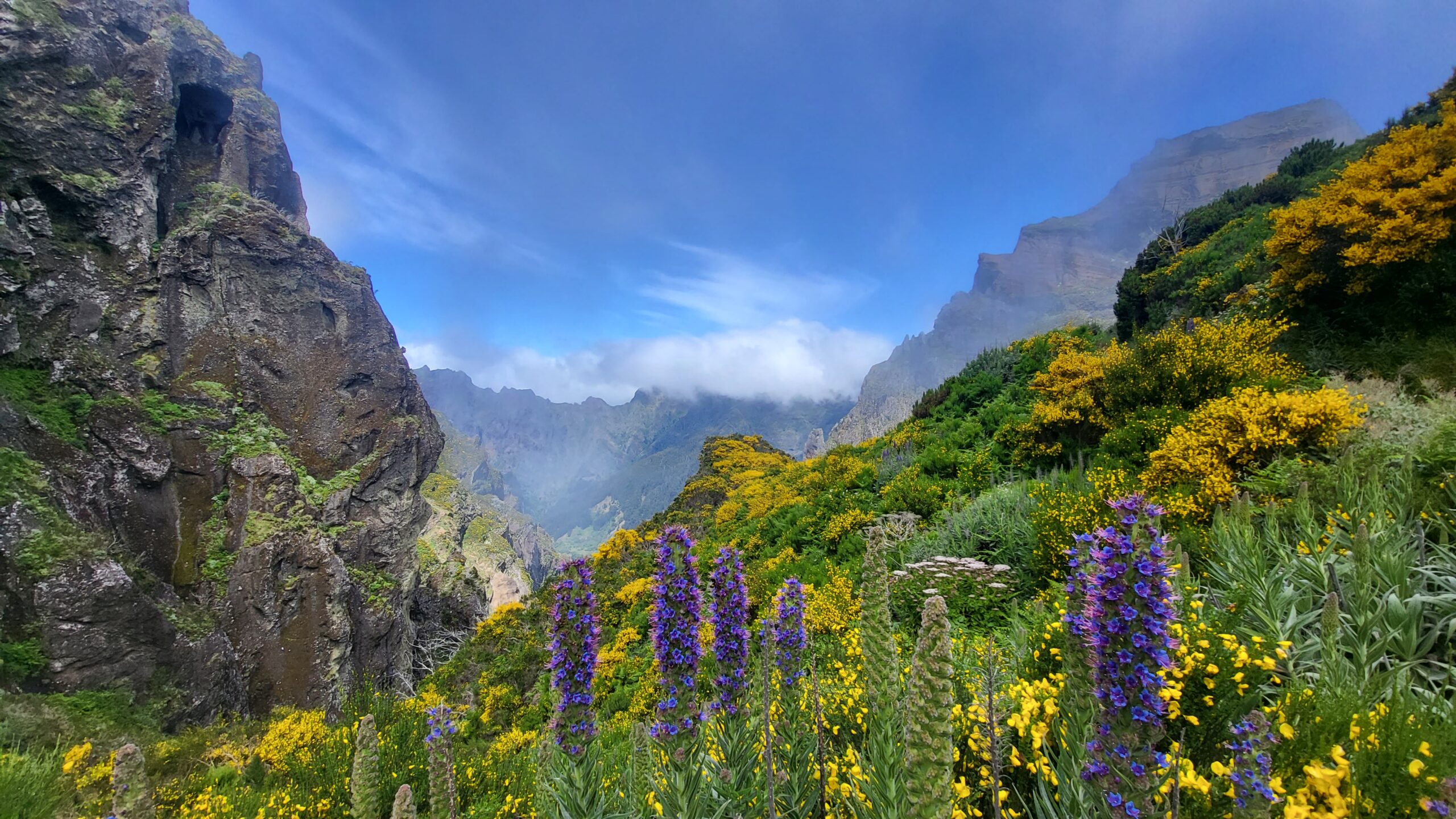 MADEIRA E PORTO SANTO